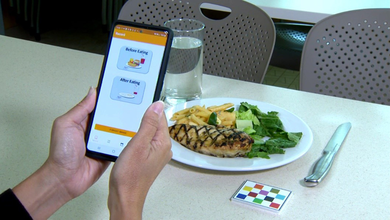 The mobile food record application